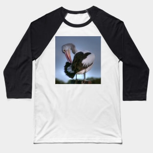 Picky Patient Pelican Preening on Pole in Pool Baseball T-Shirt